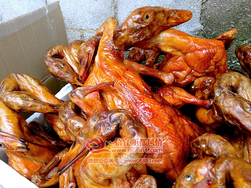 �½��ļ���IMG_4342.JPG