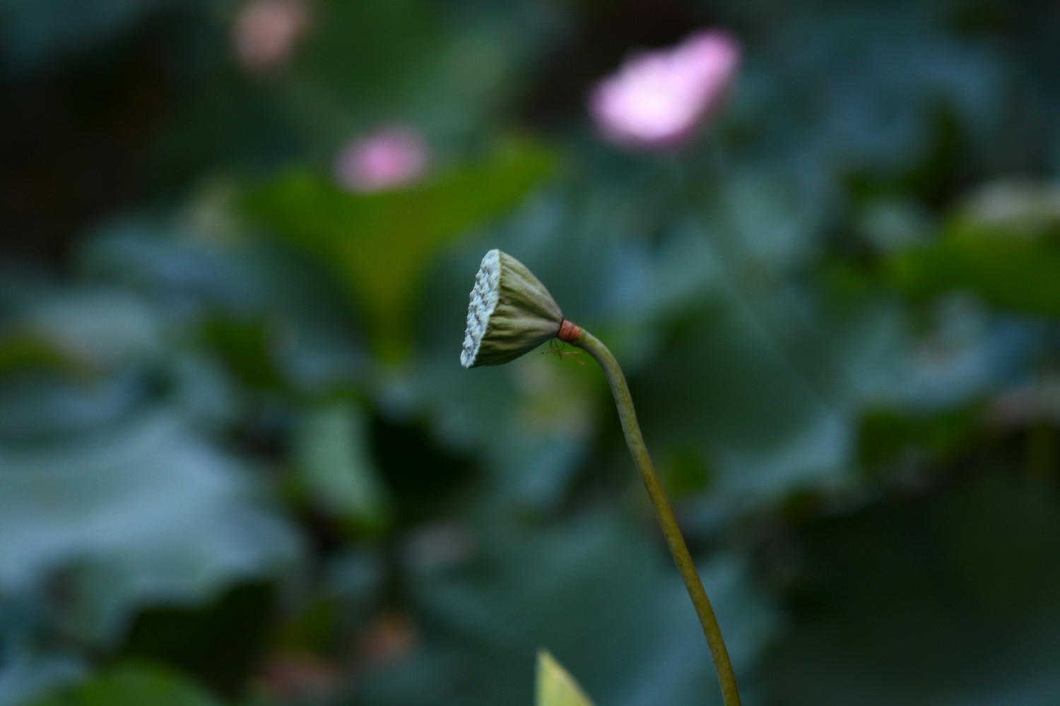 DSC_9069 ����_������С.jpg