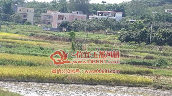 QQͼƬ20150701174513.jpg
