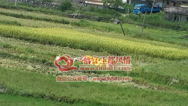 QQͼƬ20150701174505.jpg