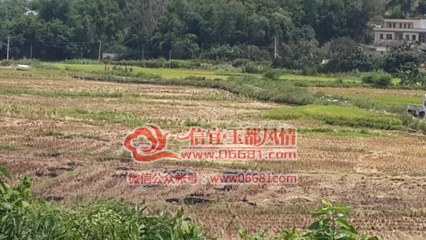 QQͼƬ20150701174441.jpg