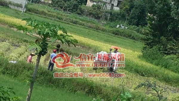 QQͼƬ20150701174522.jpg