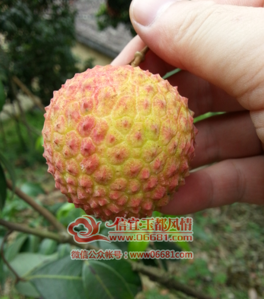 QQ��ͼ20150707212412.png