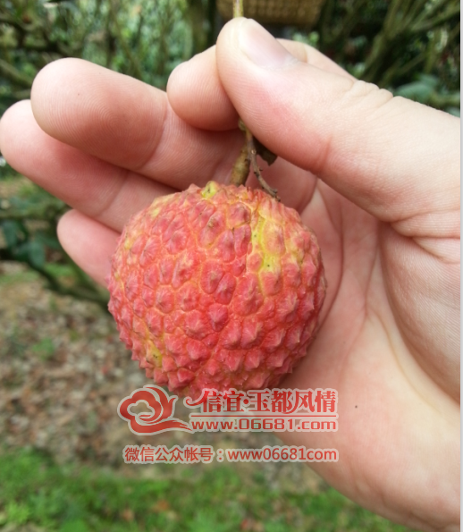 QQ��ͼ20150707212419.png