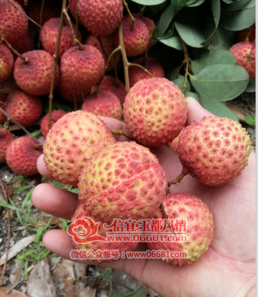 QQ��ͼ20150707212448.png