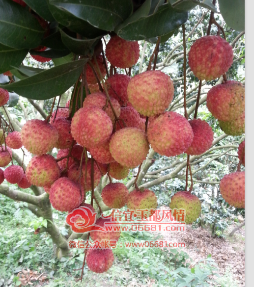 QQ��ͼ20150707212453.png