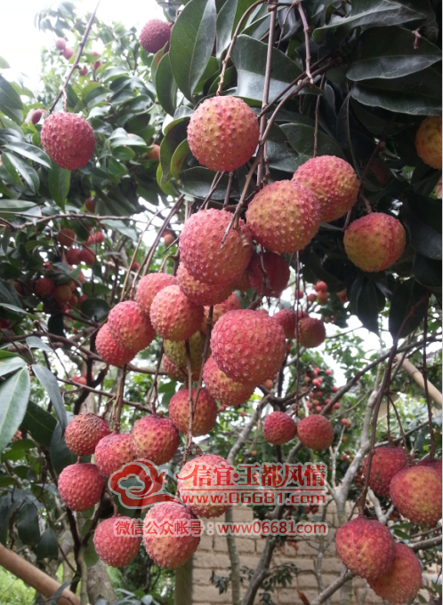 QQ��ͼ20150707212522.png