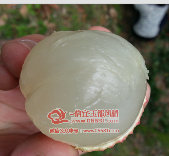 QQ��ͼ20150707212617.png