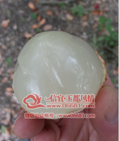QQ��ͼ20150707212630.png