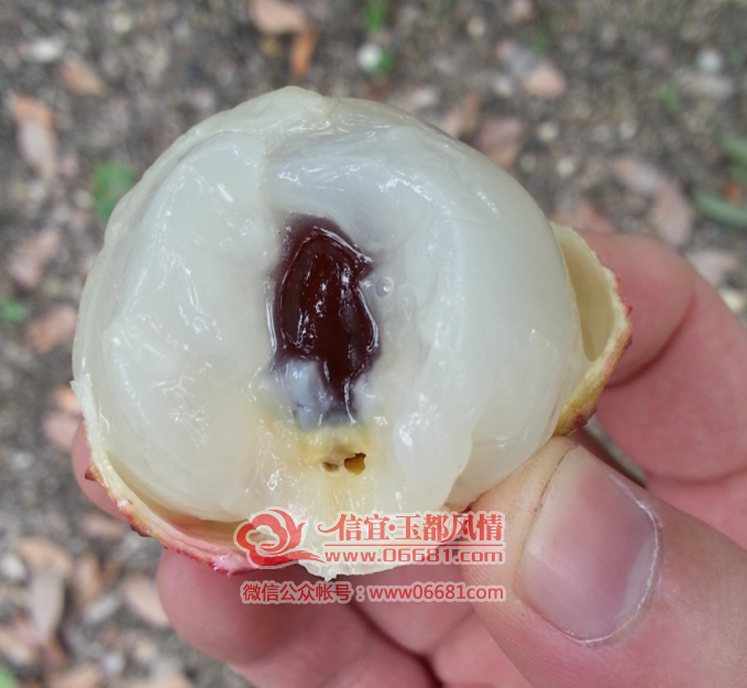 QQ��ͼ20150707212651.png