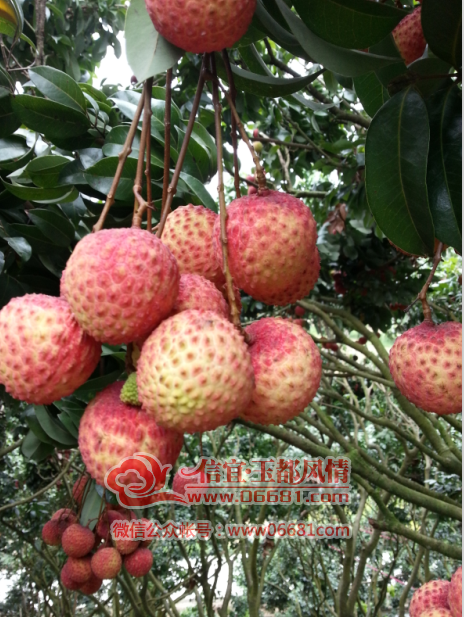 QQ��ͼ20150707212700.png