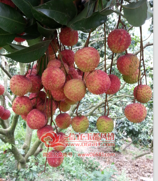 QQ��ͼ20150707212706.png