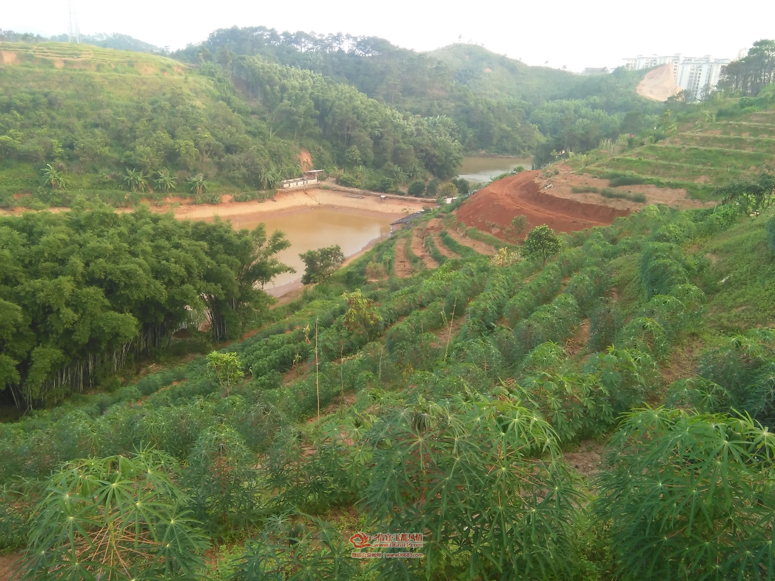 cnIMG_20150708_185453.jpg