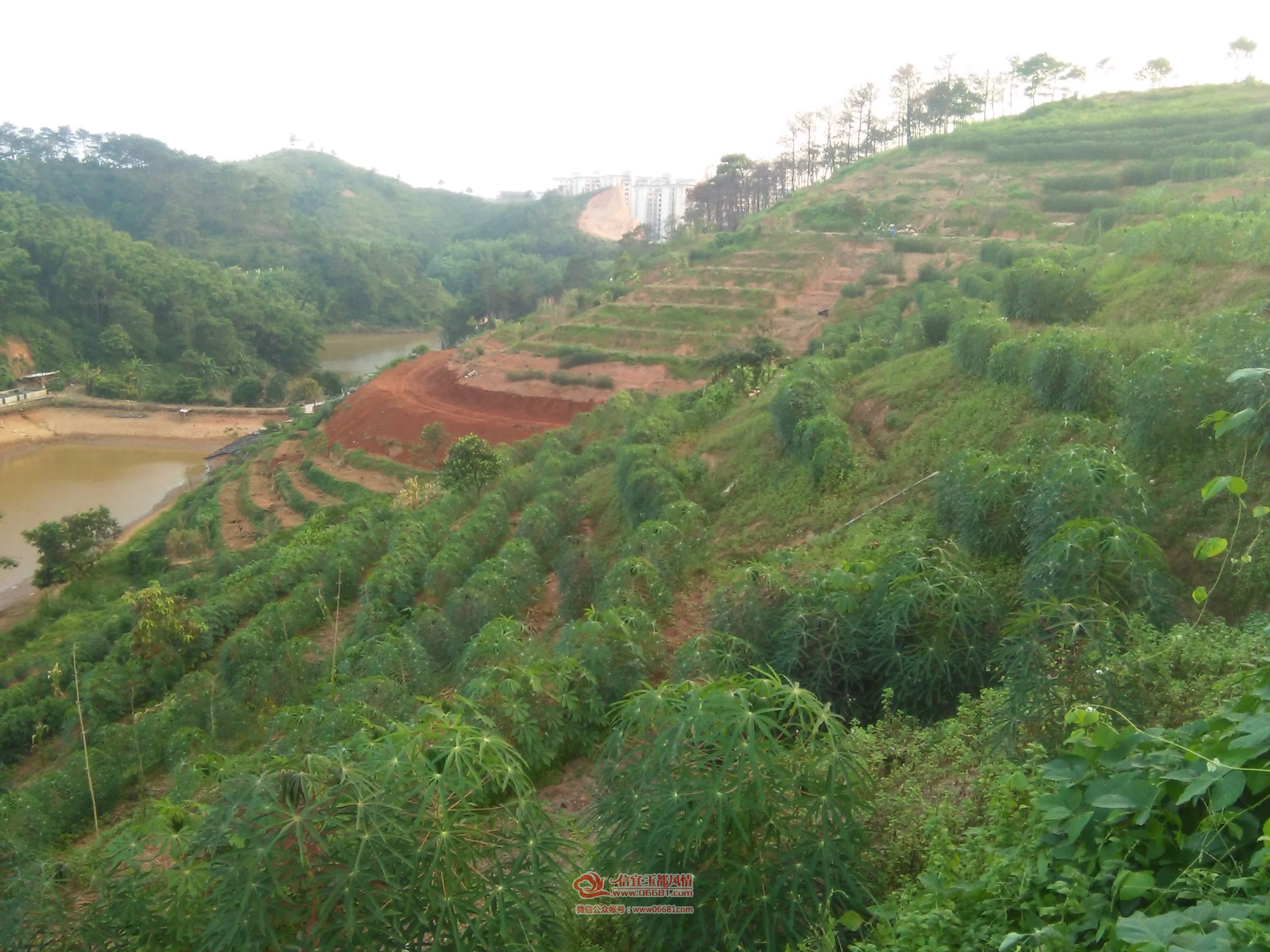 cnIMG_20150708_185548.jpg