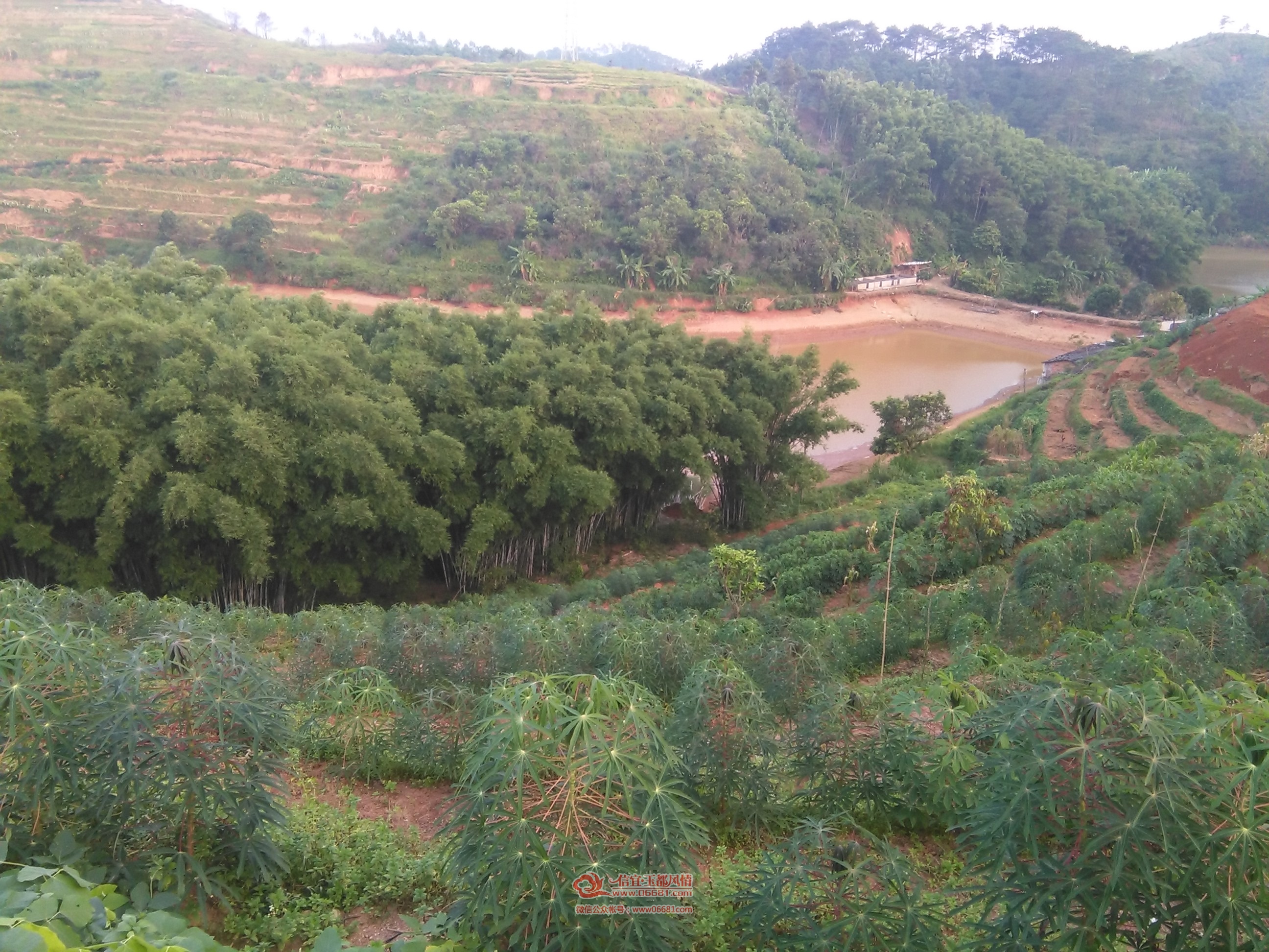 cnIMG_20150708_185604.jpg