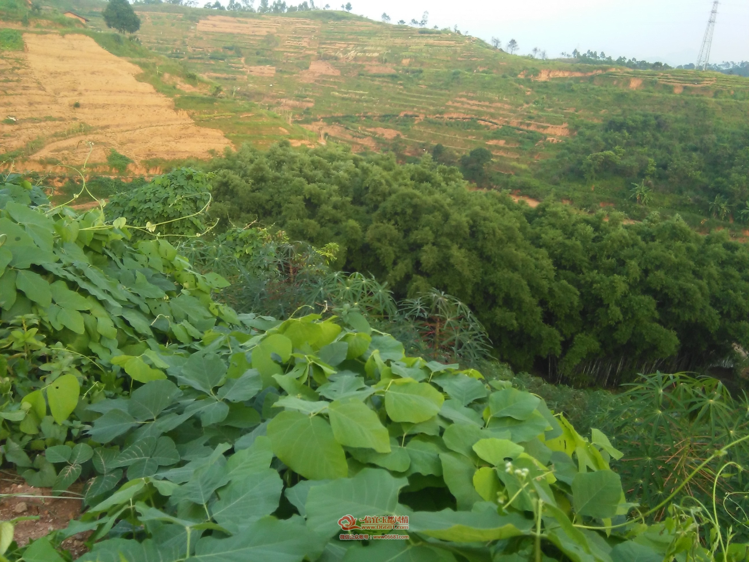 cnIMG_20150708_185629.jpg