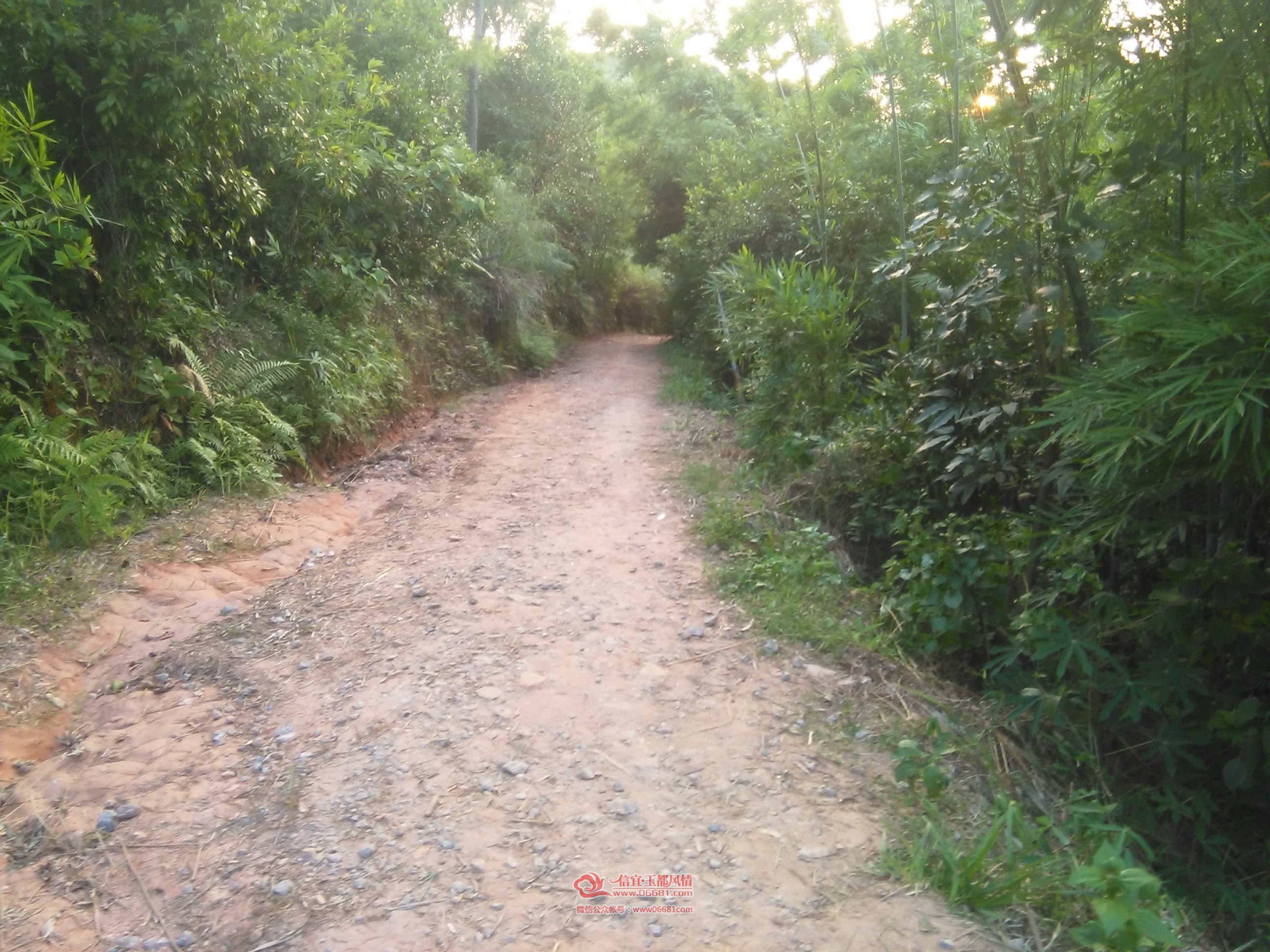 cnIMG_20150708_190349.jpg