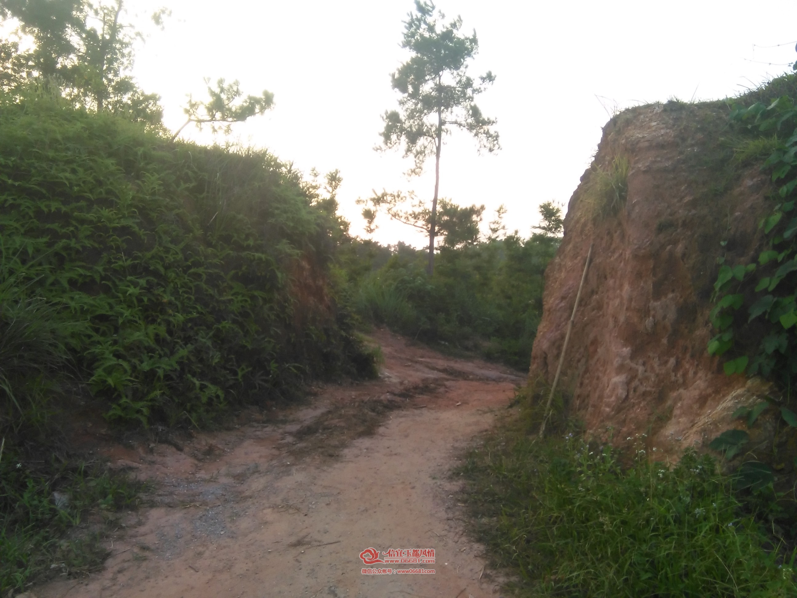 cnIMG_20150708_190242.jpg