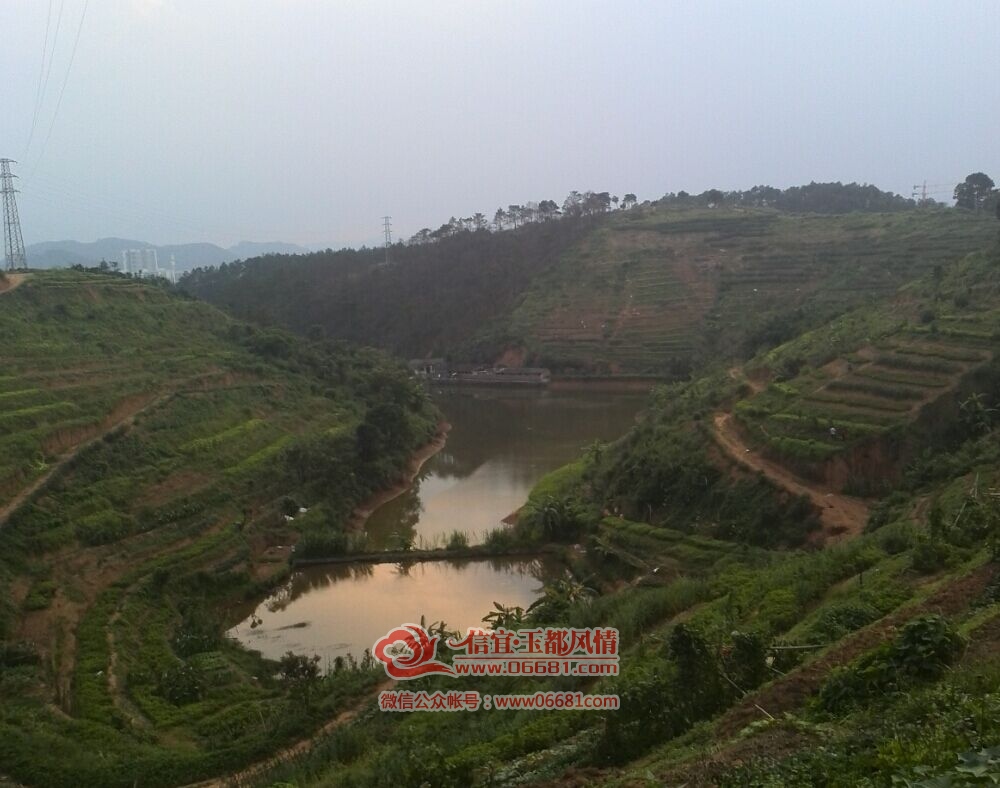QQͼƬ20150709095337.jpg