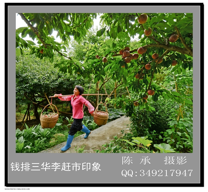 11_nEO_IMG_nEO_IMG.jpg