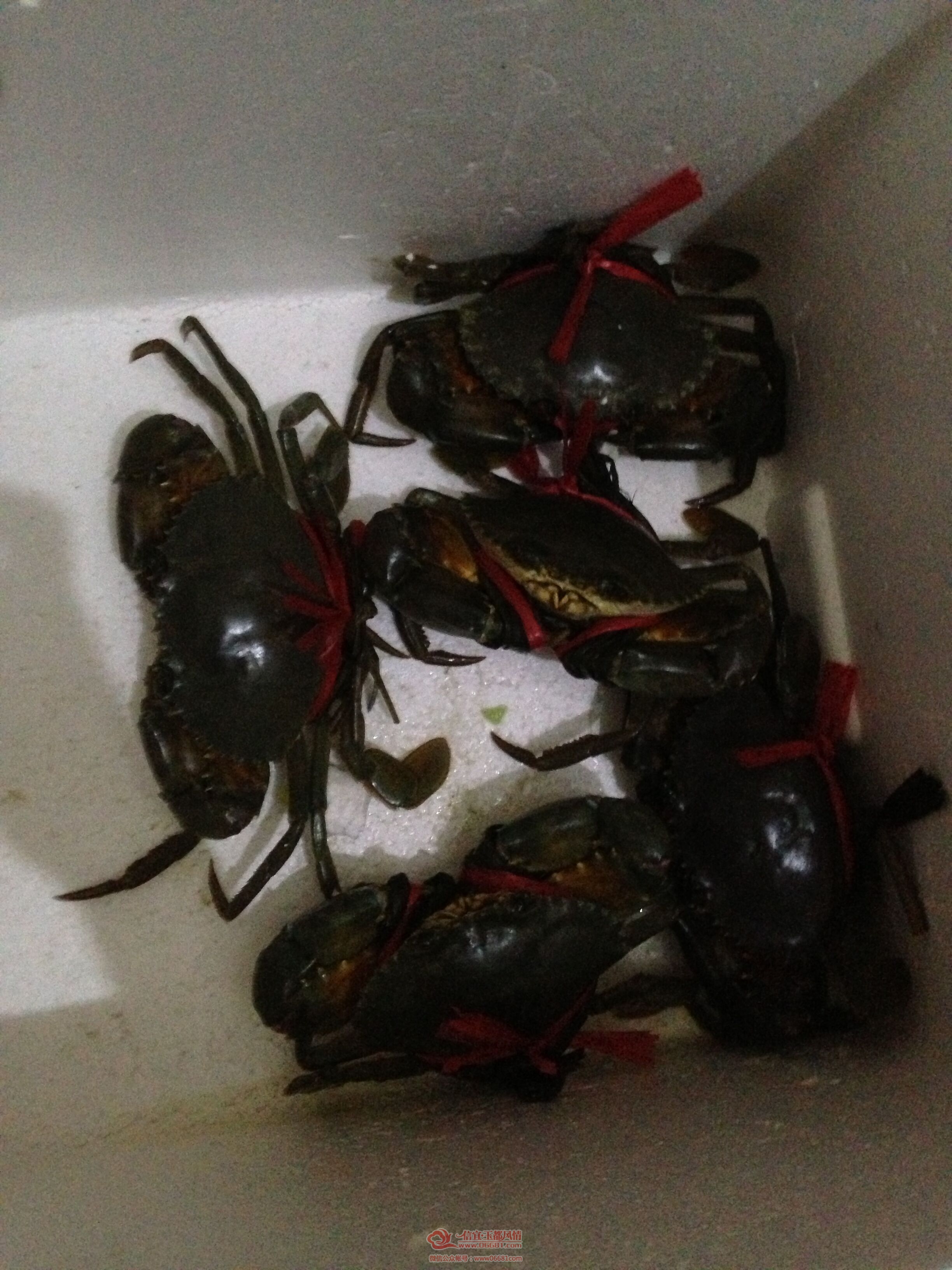 QQͼƬ20150728161854.jpg