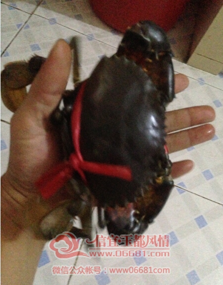 QQ��ͼ20150728162205.jpg
