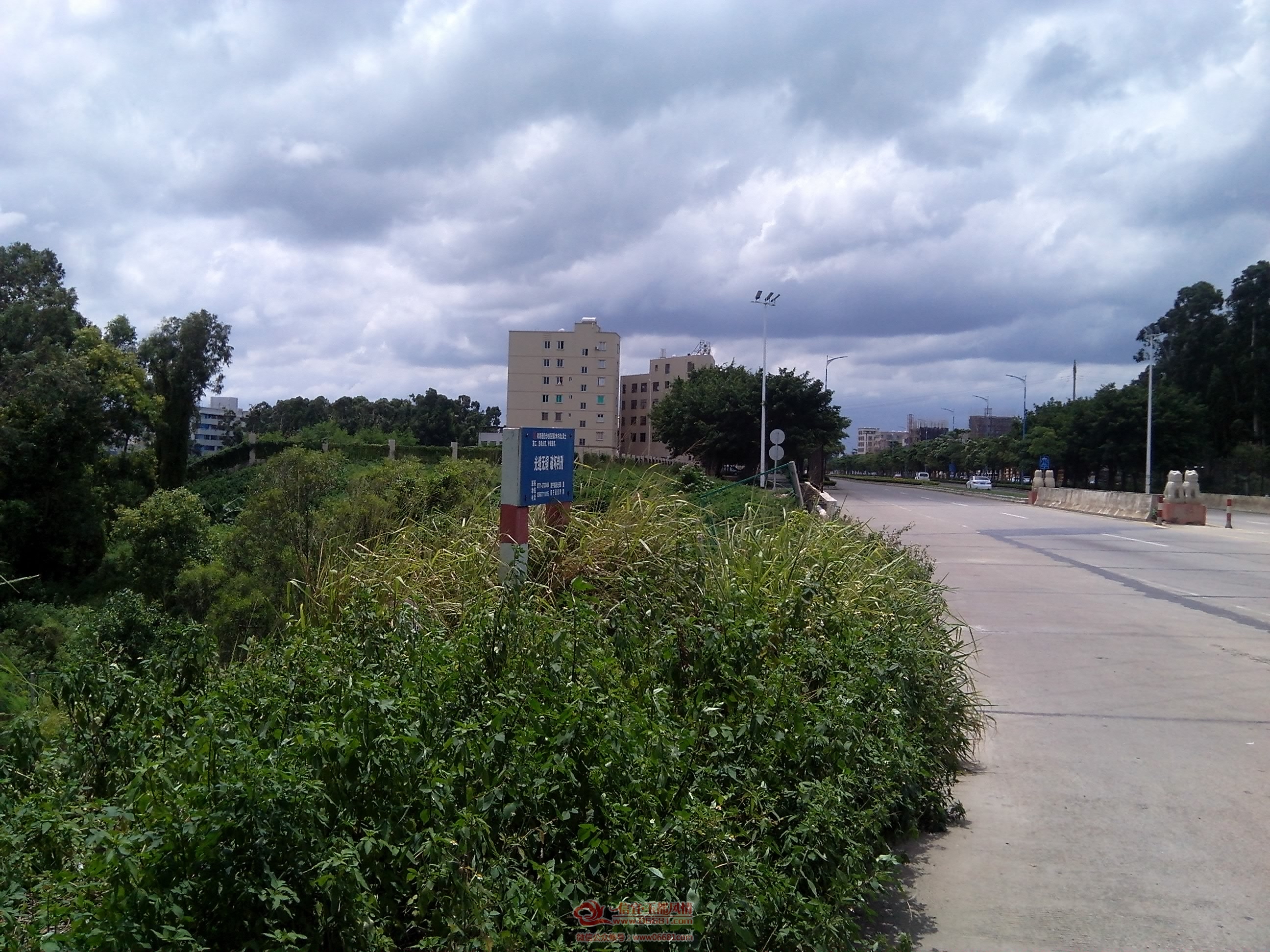 IMG_20150728_132942.jpg