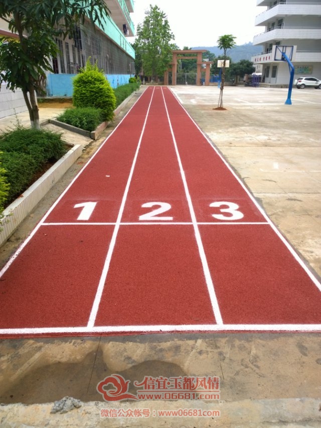74.jpg