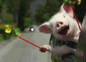 10.gif