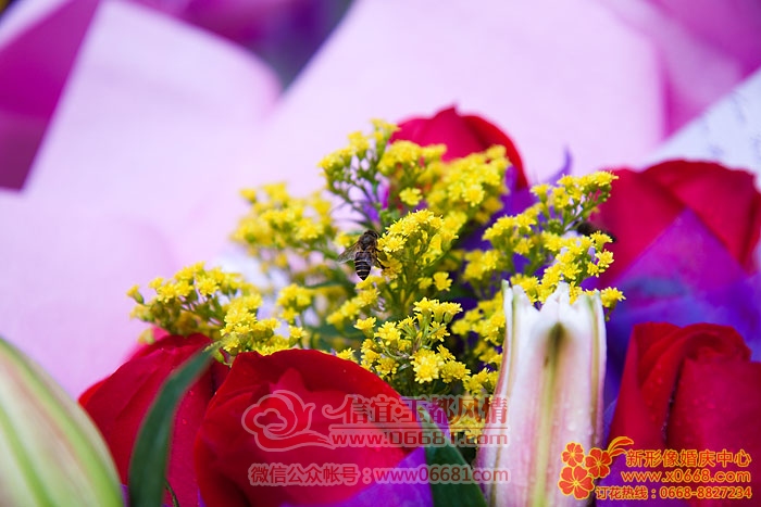 IMG_1172.jpg
