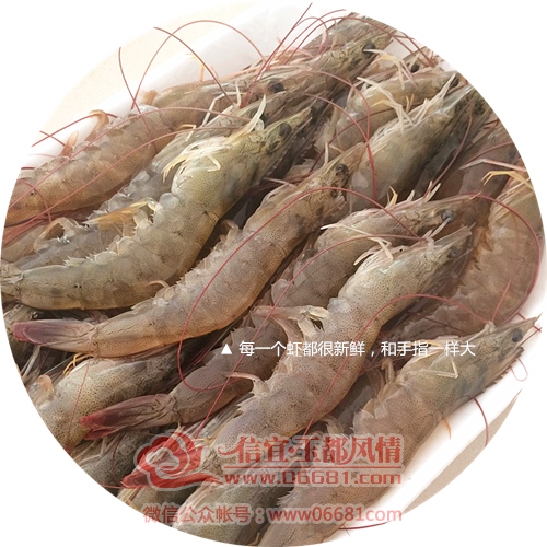 8F04016C-CA3A-4A0C-AFE5-C7DFDF078A63_����.jpg