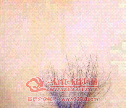 5bc7419f893ece726fe6fa5cfb6b3c42~01~01.jpg