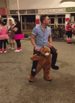 1.gif