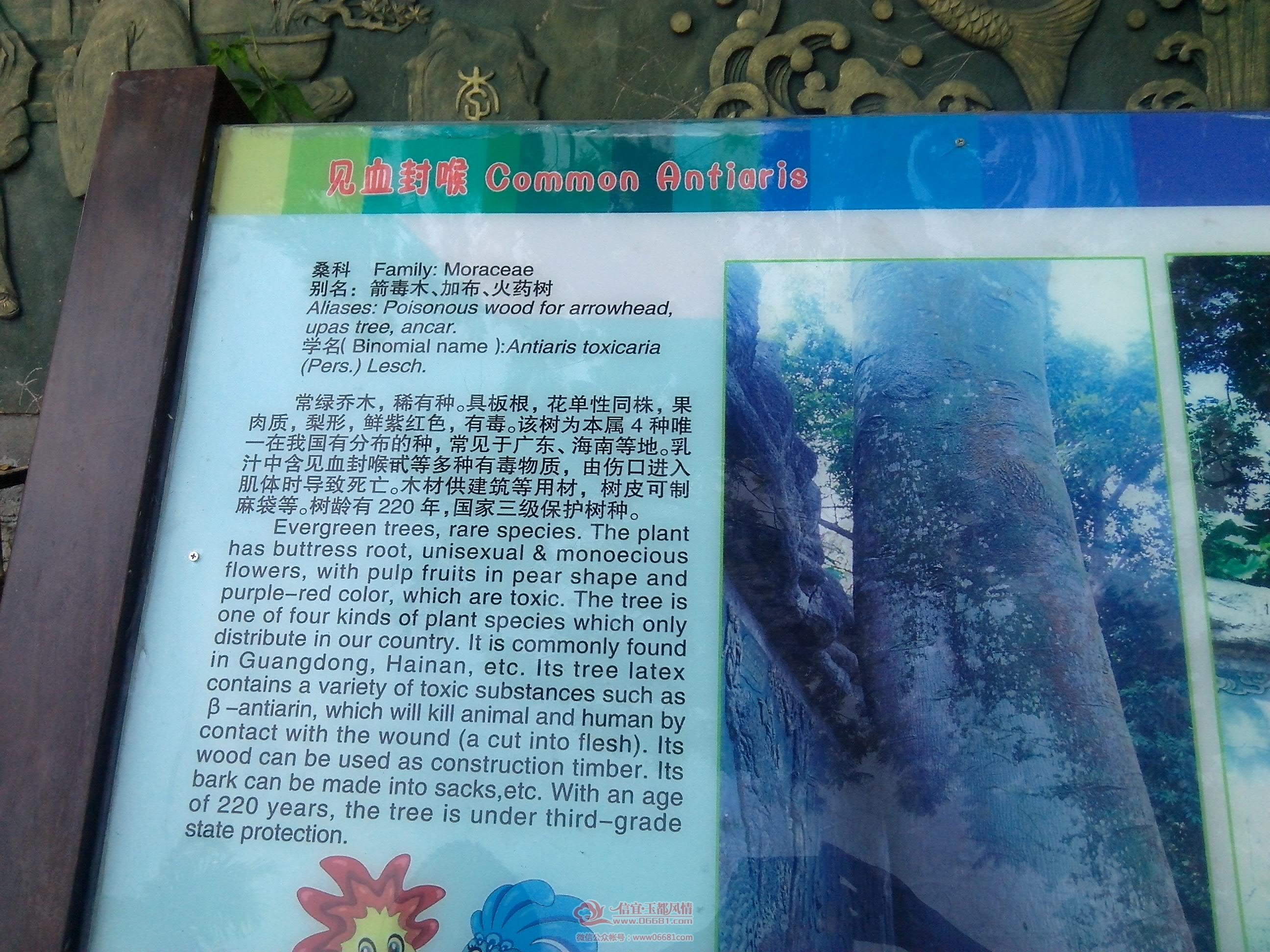 IMG_20150908_114418.jpg