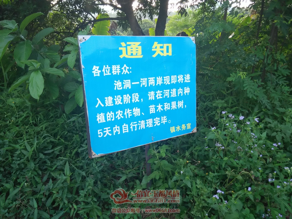 DSC_0301_����.jpg