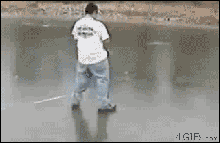 4487fcd7fc66137f97f40d.gif