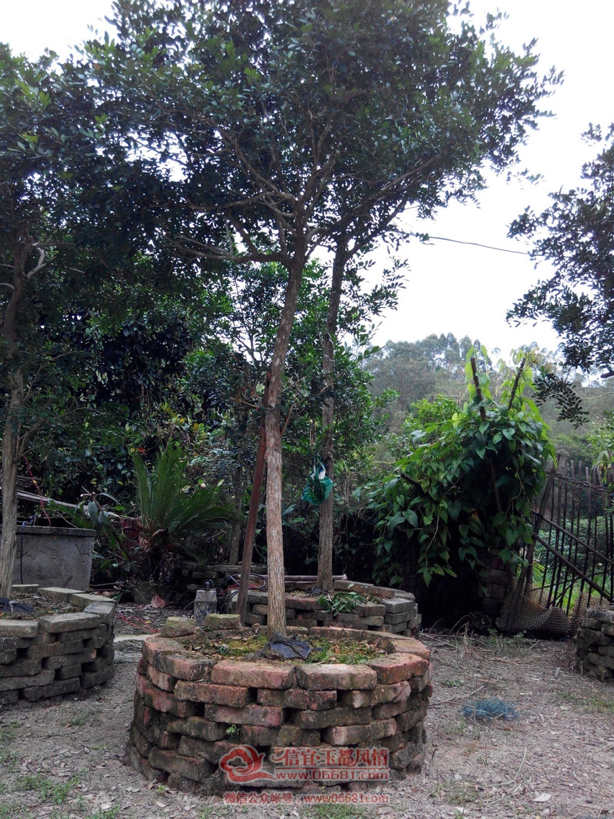 IMG_20150926_175539.jpg
