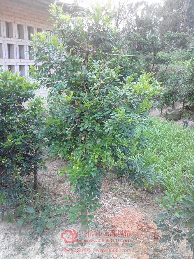 IMG_20151002_170929_HDR.jpg