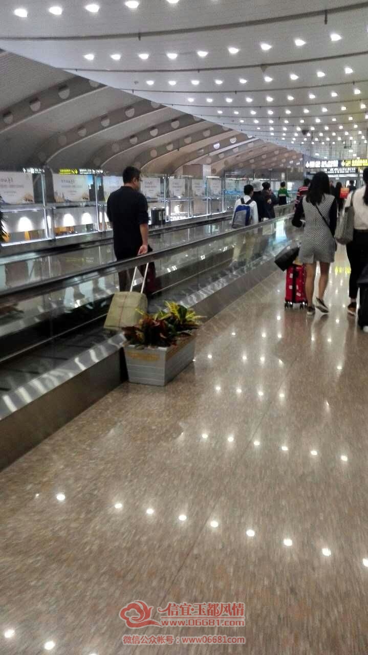 mmexport1445355152013.jpg