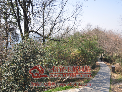 QQͼƬ20151027041509.png
