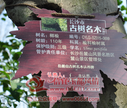 QQͼƬ20151027041606.png