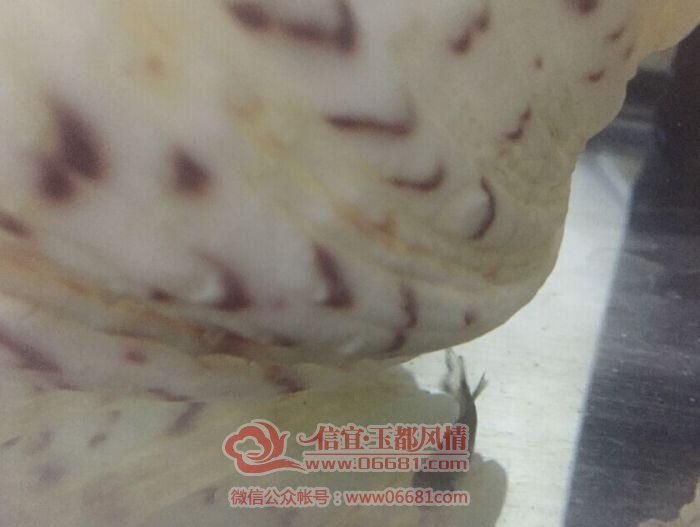 QQͼƬ20151027232350.jpg