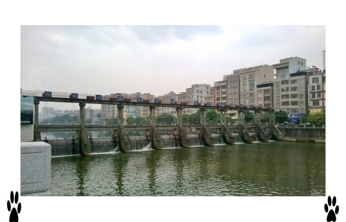 WP_20151025_001����.jpg