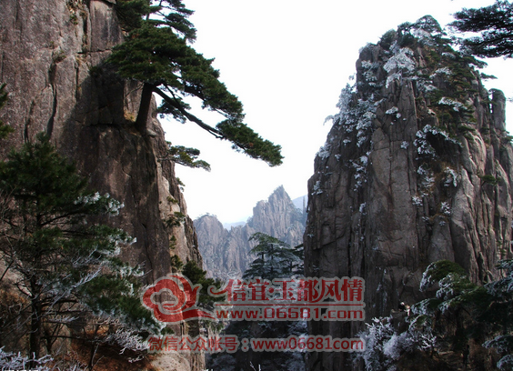 QQ��ͼ20151104195029.png