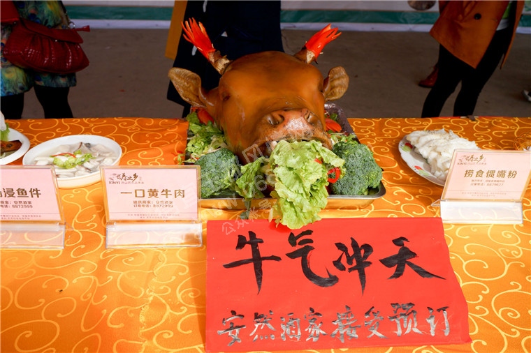 DSC00895.jpg