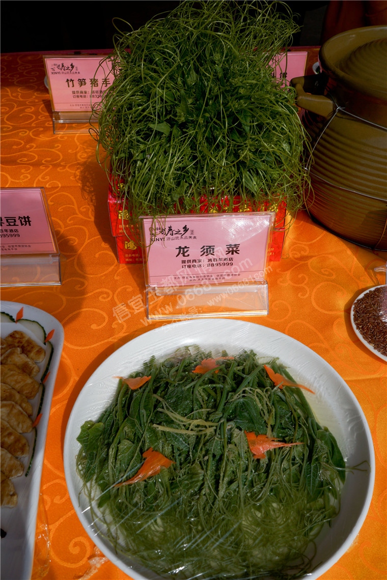 DSC00904.jpg