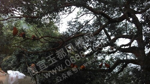 IMAG0270.jpg