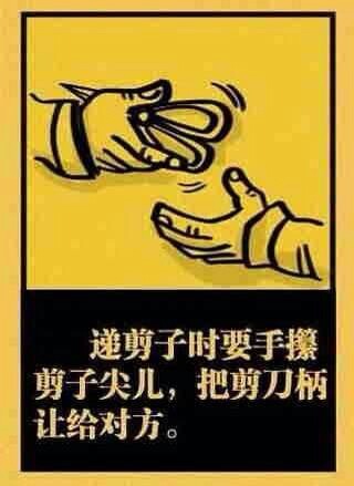 16086717616917764447.jpg