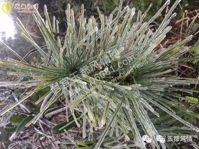 Ǯ�š�����ɽ������1.jpg
