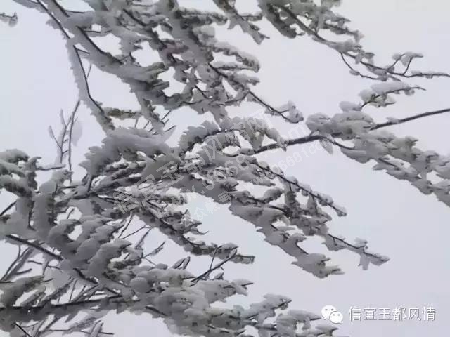 ��ɰ��ʯ��ɽ������2.jpg